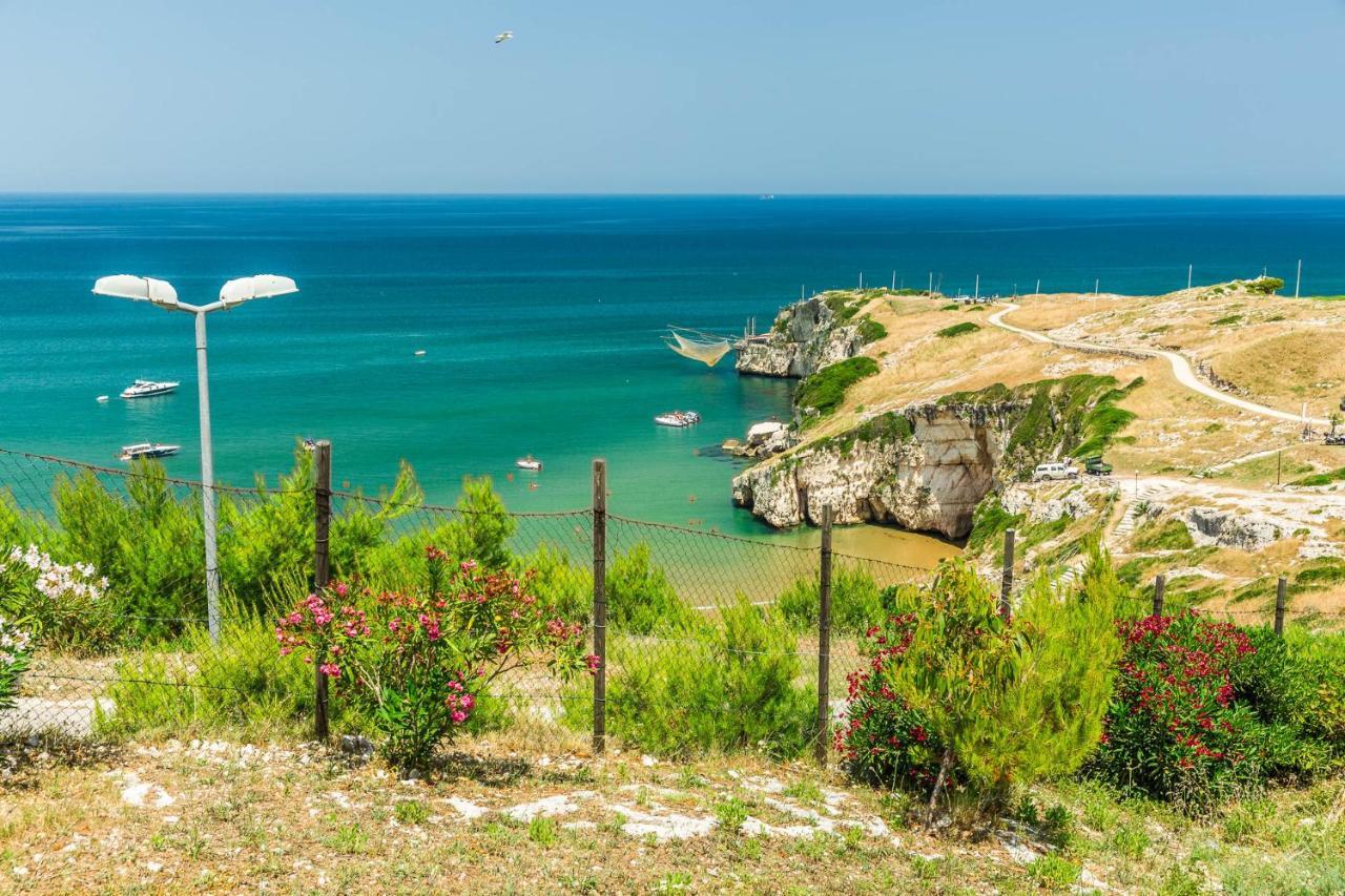Appartamenti - Spiaggia Zaiana ペスキチ エクステリア 写真